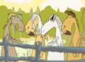Singing Horses - Zpívající koně - flash video online