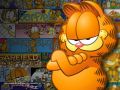 rout Garfield a jeho hrzostran lov - flash hra online