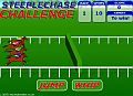 Steeplechase Challenge - Horse Racing - flash kosk hra online