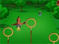 Famfrpál - Harry Potter - sportovní flash hra online